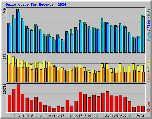 Daily usage for December 2024