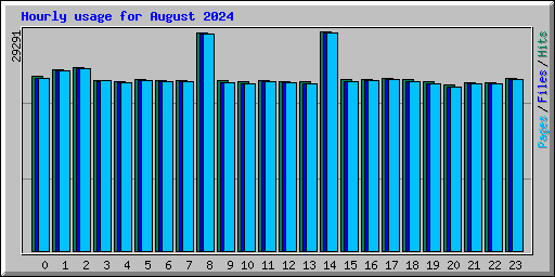 Hourly usage for August 2024