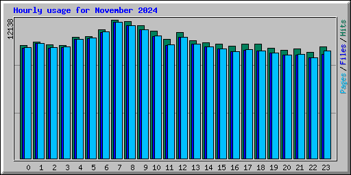 Hourly usage for November 2024