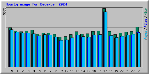 Hourly usage for December 2024