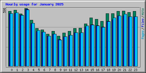 Hourly usage for January 2025