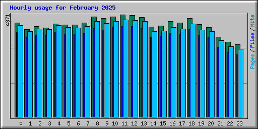 Hourly usage for February 2025