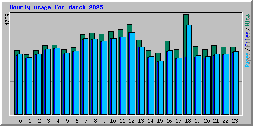 Hourly usage for March 2025