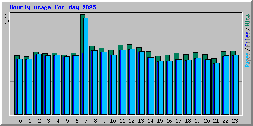 Hourly usage for May 2025