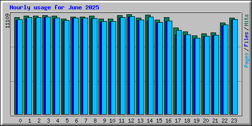 Hourly usage for June 2025