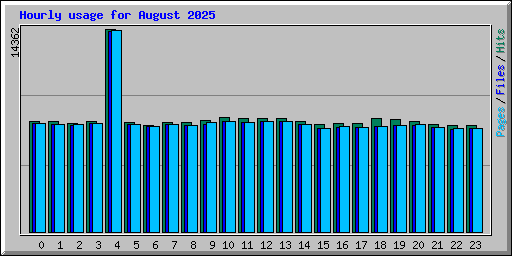 Hourly usage for August 2025