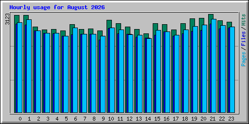 Hourly usage for August 2026